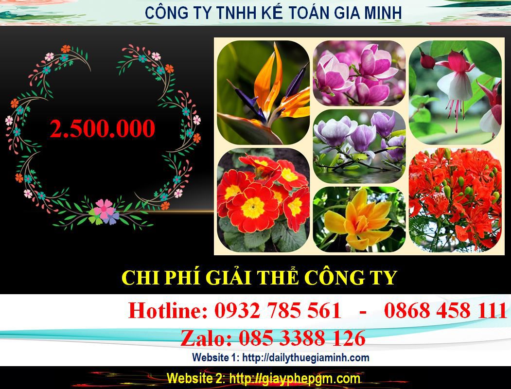 Chi phí giải thể công ty ở Hoà Bình