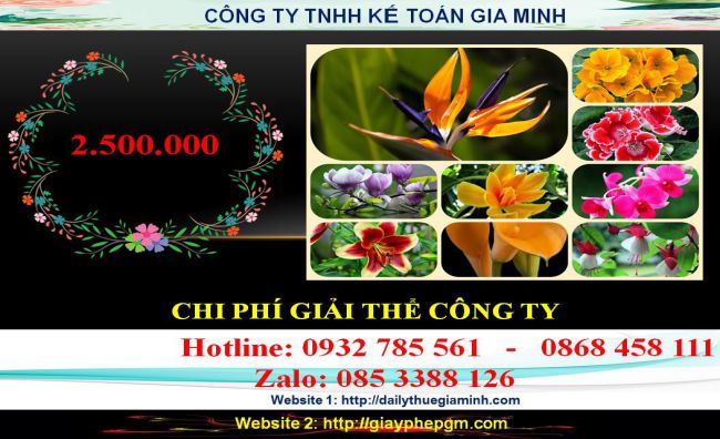 Chi phí giải thể công ty ở Huyện Bắc Tân Uyên