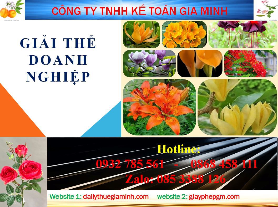 Thủ tục giải thể công ty ở Huyện Bắc Tân Uyên