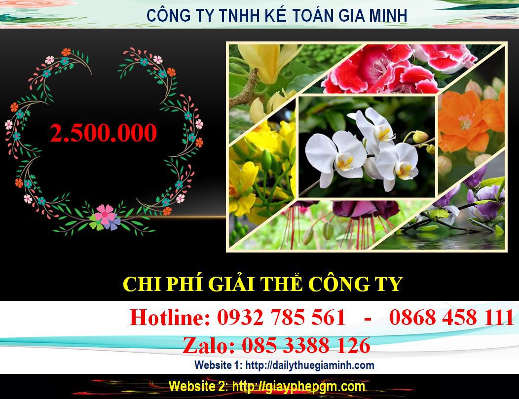 Dịch vụ giải thể công ty ở Huyện Bàu Bàng 5 Chi phí giải thể công ty ở Huyện Bàu Bàng