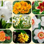 Dịch vụ giải thể công ty ở Huyện Bàu Bàng 6 Muốn giải thể công ty ở Huyện Bàu Bàng
