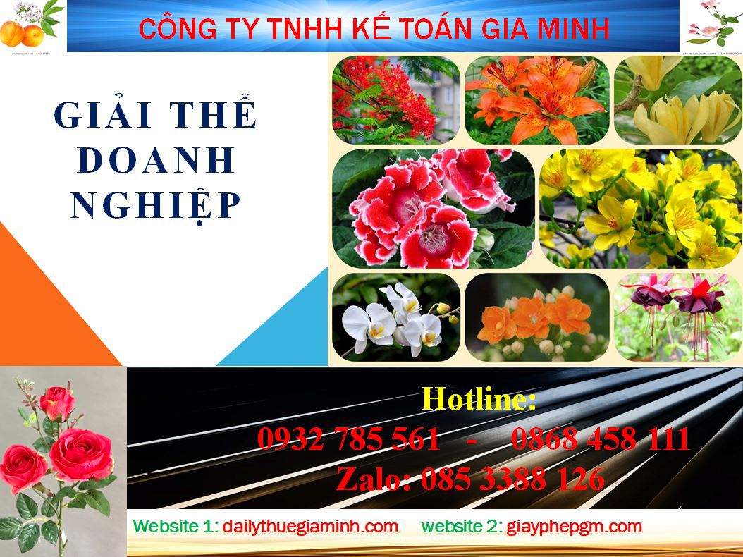 Dịch vụ giải thể công ty ở Huyện Bàu Bàng 4 Thủ tục giải thể công ty ở Huyện Bàu Bàng