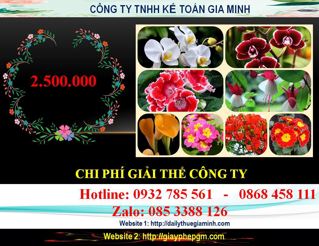 Chi phí giải thể công ty ở Huyên Củ Chi