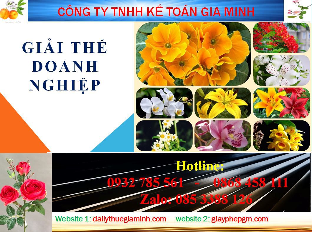 Thủ tục giải thể công ty ở Huyên Củ Chi