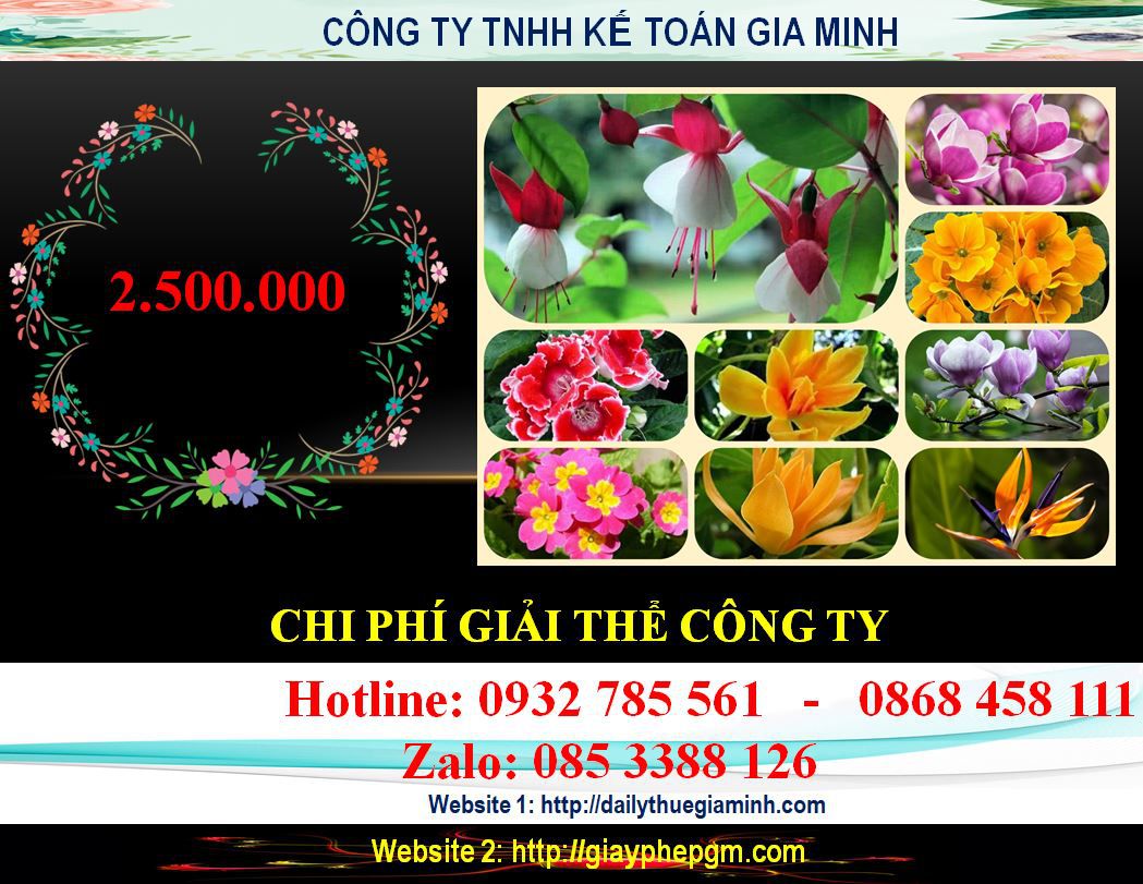 Chi phí giải thể công ty ở Huyện Dầu Tiếng