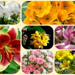 Dịch vụ giải thể công ty ở Huyện Phú Giáo 6 Muốn giải thể công ty ở Huyện Phú Giáo