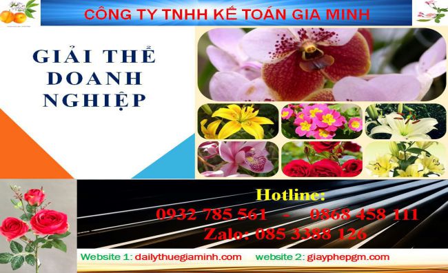 Dịch vụ giải thể công ty ở Huyện Phú Giáo 4 Thủ tục giải thể công ty ở Huyện Phú Giáo