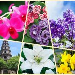 Dịch vụ giải thể công ty ở Huyện Ứng Hoà 6 Muốn giải thể công ty ở Huyện Ứng Hoà