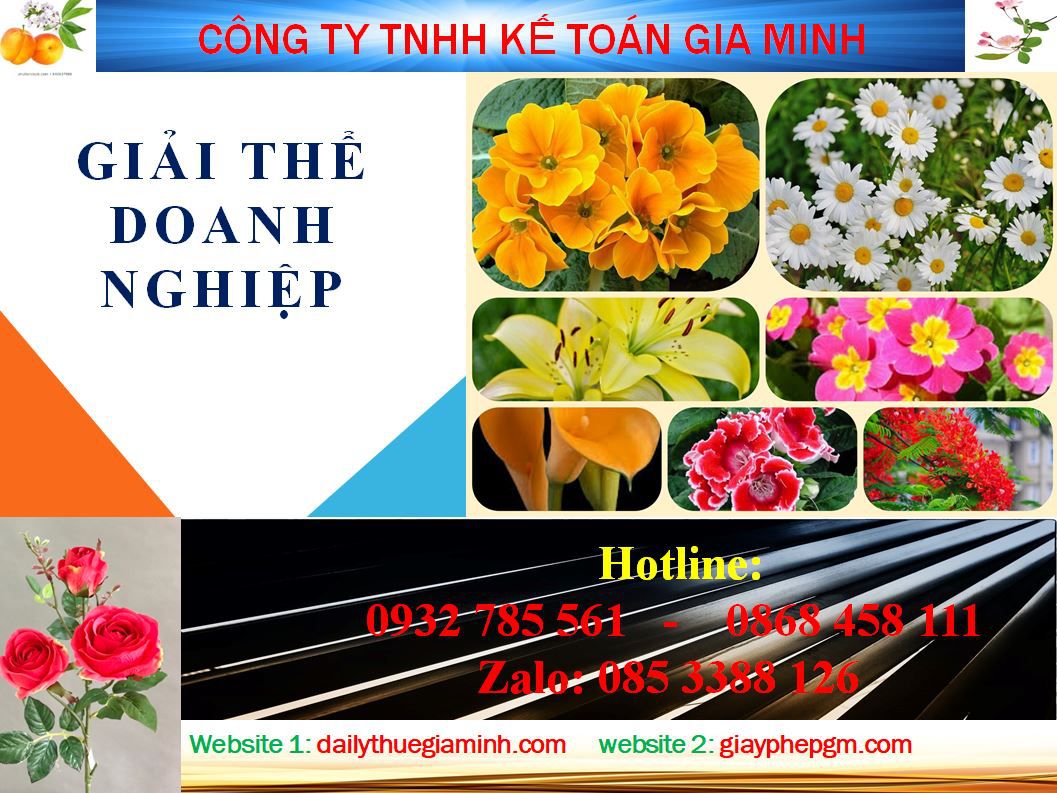 Dịch vụ giải thể công ty ở Huyện Ứng Hoà 4 Thủ tục giải thể công ty ở Huyện Ứng Hoà