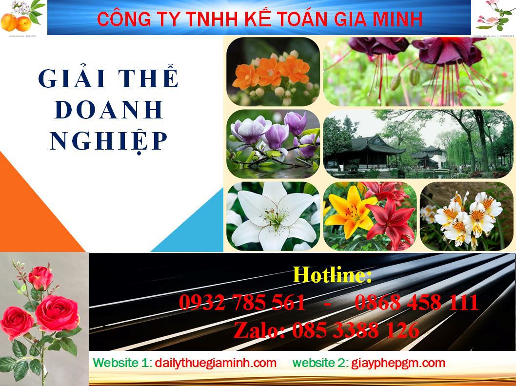 Dịch vụ giải thể công ty ở Kiên Giang 4 Thủ tục giải thể công ty ở Kiên Giang