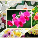 Dịch vụ giải thể công ty ở Kiên Giang 6 Muốn giải thể công ty ở Kiên Giang