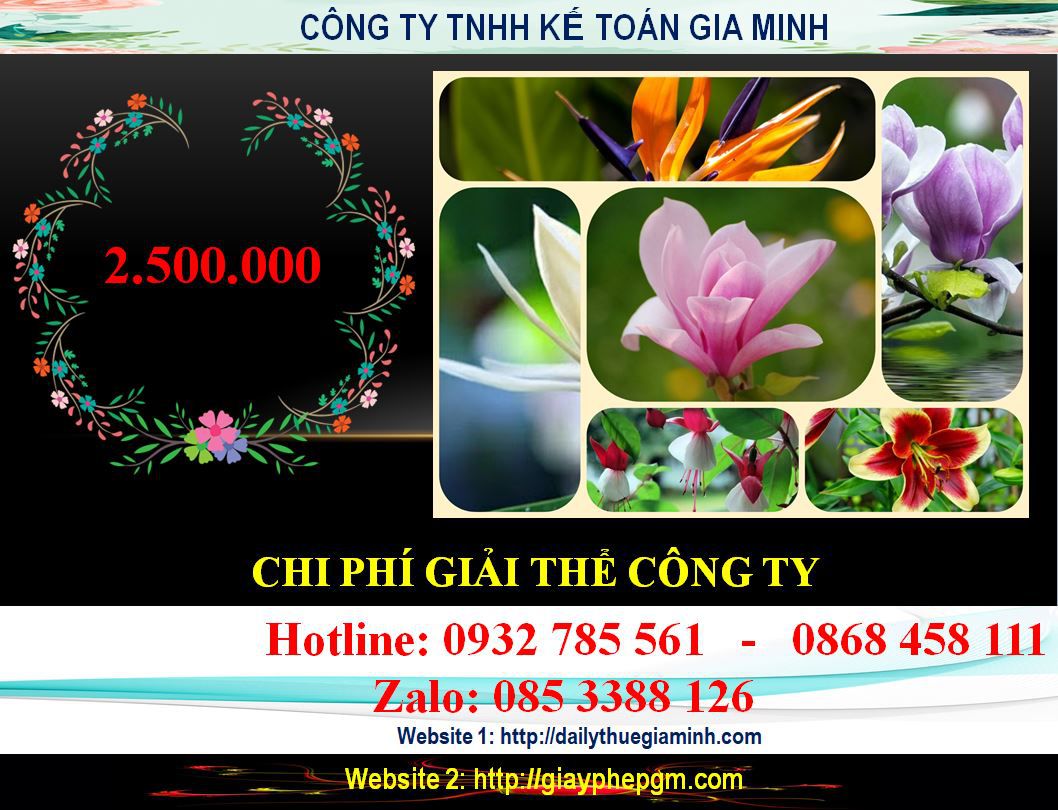 Dịch vụ giải thể công ty ở Kiên Giang 5 Chi phí giải thể công ty ở Kiên Giang