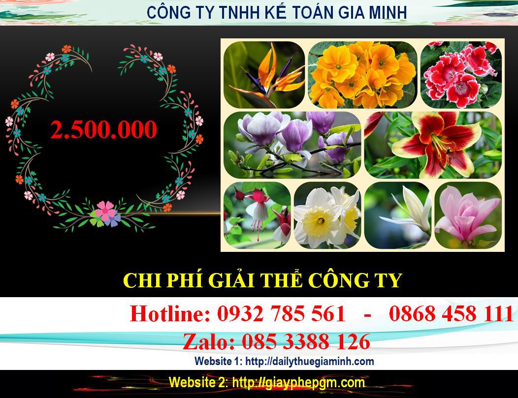 Dịch vụ giải thể công ty ở Lào Cai 5 Chi phí giải thể công ty ở Lào Cai