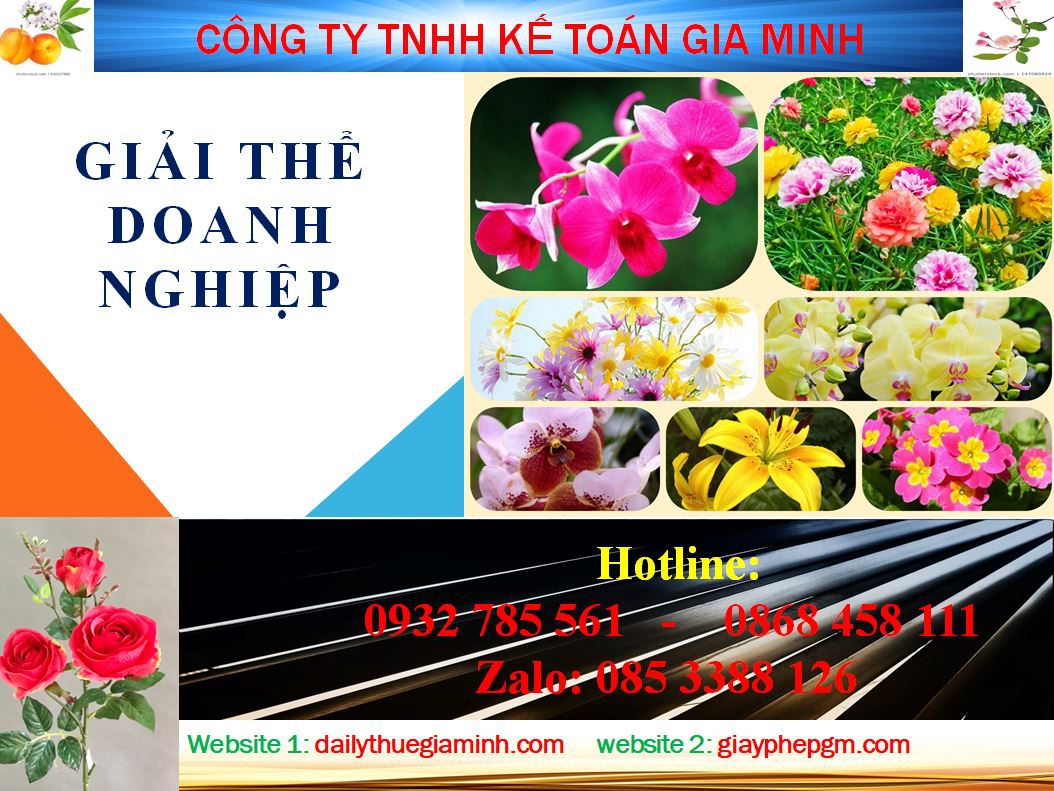 Dịch vụ giải thể công ty ở Lào Cai 4 Thủ tục giải thể công ty ở Lào Cai