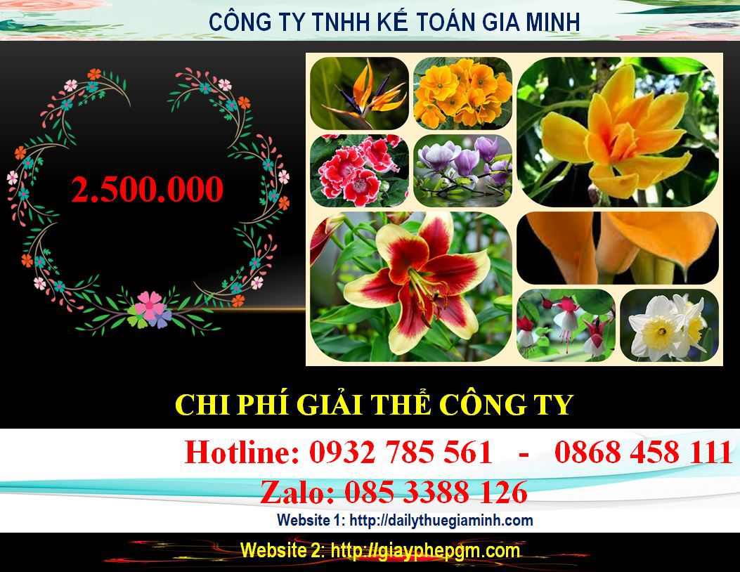 Dịch vụ giải thể công ty ở Quận 9 5 Chi phí giải thể công ty ở Quận 9