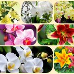 Dịch vụ giải thể công ty ở Quận 9 6 Muốn giải thể công ty ở Quận 9
