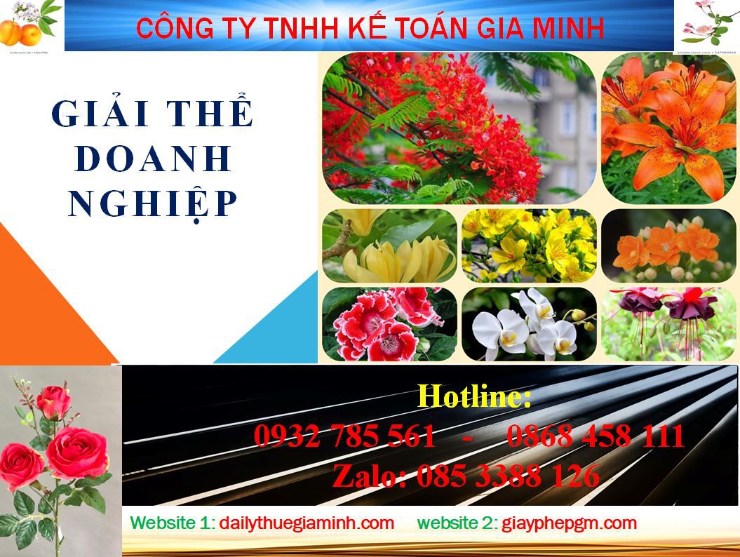 Dịch vụ giải thể công ty ở Quận 9 4 Thủ tục giải thể công ty ở Quận 9