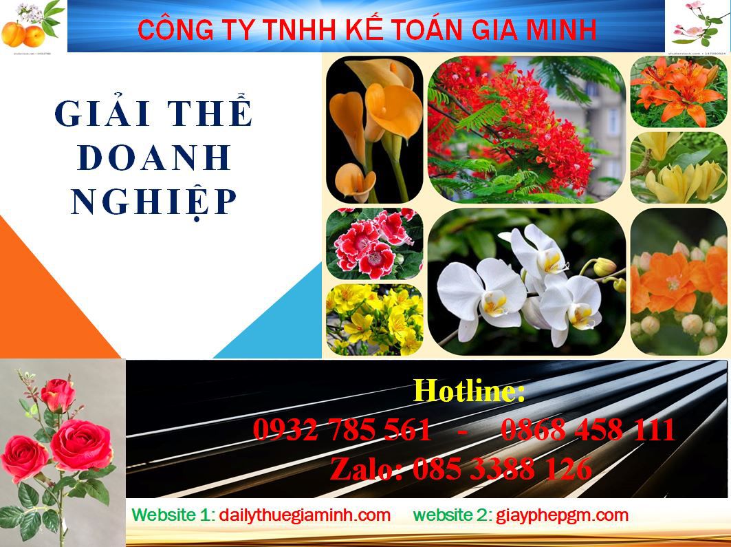 Dịch vụ giải thể công ty ở Quận Cái Răng 4 Thủ tục giải thể công ty ở Quận Cái Răng