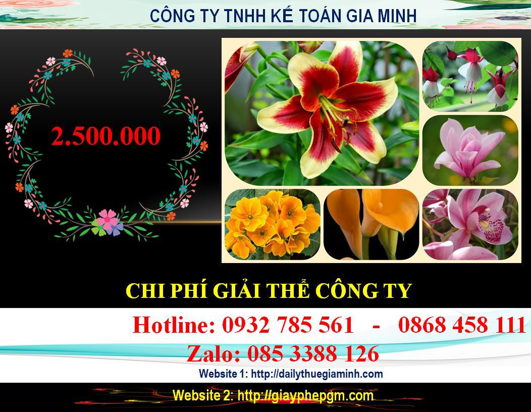 Dịch vụ giải thể công ty ở Quận Cái Răng 5 Chi phí giải thể công ty ở Quận Cái Răng
