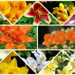 Dịch vụ giải thể công ty ở Quận Thanh Xuân 6 Muốn giải thể công ty ở Quận Thanh Xuân