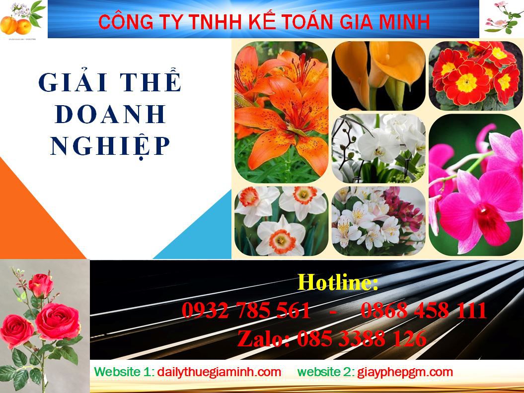 Dịch vụ giải thể công ty ở Quận Thanh Xuân 4 Thủ tục giải thể công ty ở Quận Thanh Xuân
