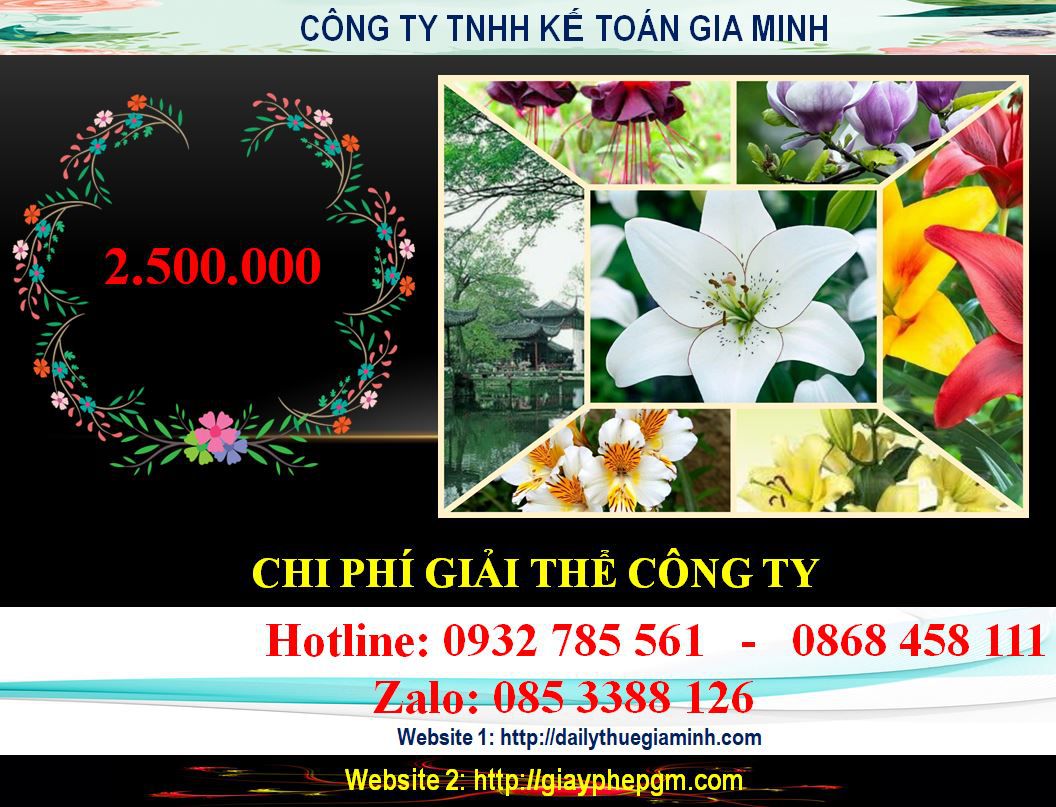 Dịch vụ giải thể công ty ở Quảng Bình 5 Chi phí giải thể công ty ở Quảng Bình