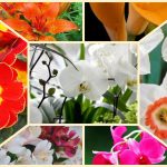 Dịch vụ giải thể công ty ở Quảng Bình 6 Muốn giải thể công ty ở Quảng Bình