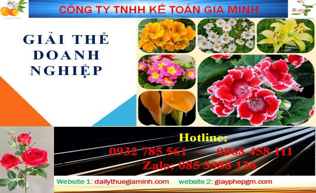 Dịch vụ giải thể công ty ở Quảng Bình 4 Thủ tục giải thể công ty ở Quảng Bình