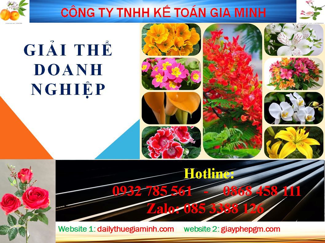 Dịch vụ giải thể công ty ở Thanh Hoá 4 Thủ tục giải thể công ty ở Thanh Hoá