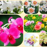 Dịch vụ giải thể công ty ở Thanh Hoá 6 Muốn giải thể công ty ở Thanh Hoá