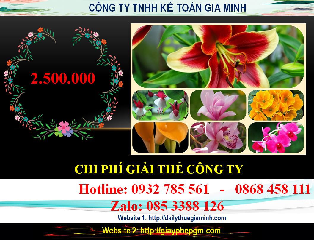 Dịch vụ giải thể công ty ở Thanh Hoá 5 Chi phí giải thể công ty ở Thanh Hoá