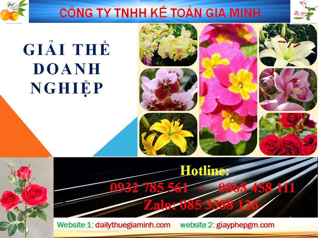 Thủ tục giải thể công ty ở Thành phố Thủ Dầu Một