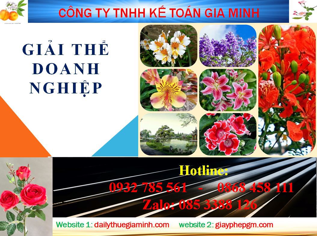 Thủ tục giải thể công ty ở Thị xã Bến Cát