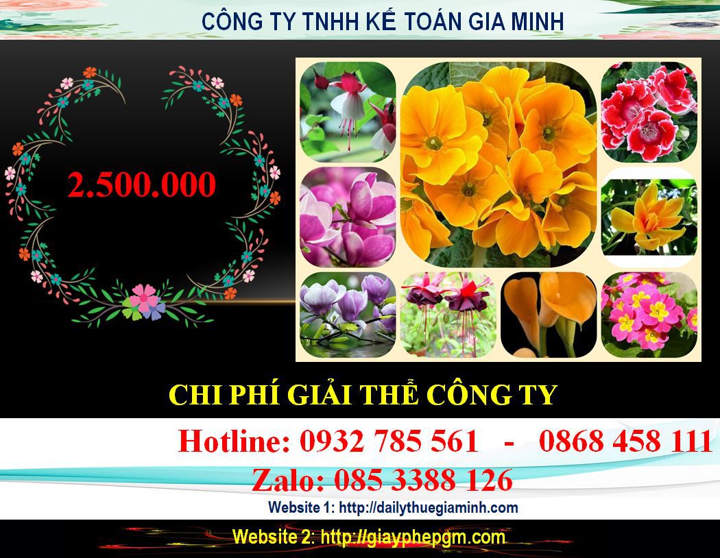 Chi phí giải thể công ty ở Thị xã Dĩ An