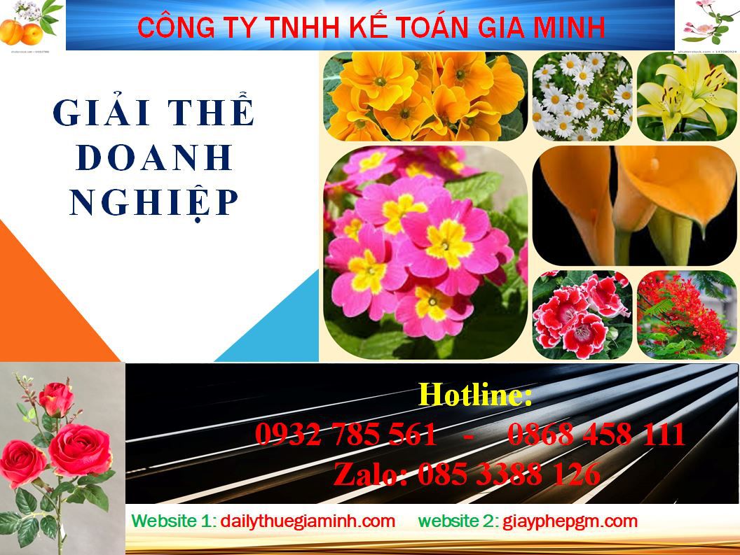 Thủ tục giải thể công ty ở Thị xã Thuận An