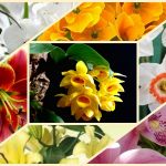 Dịch vụ giải thể công ty ở Thị xã Tân Uyên 6 Muốn giải thể công ty ở Thị xã Tân Uyên