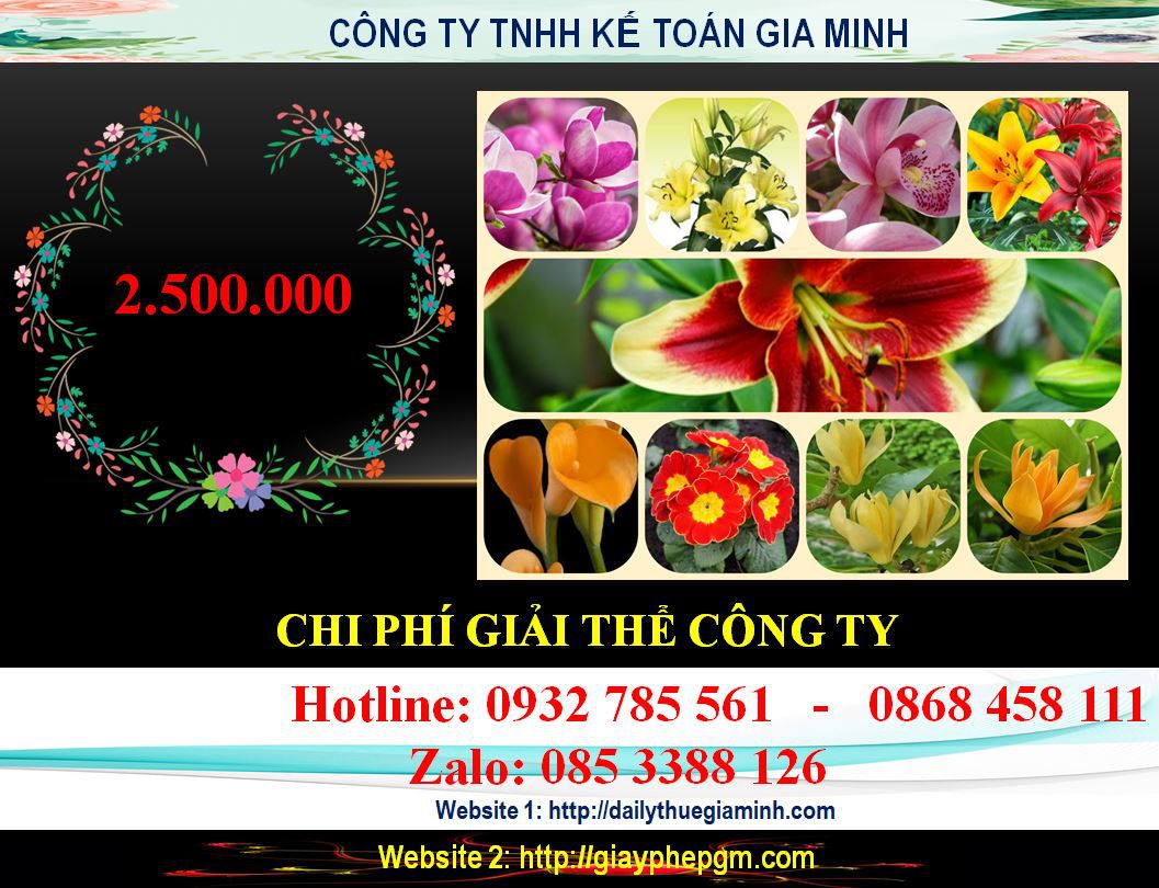 Chi phí giải thể công ty ở Thị xã Thuận An