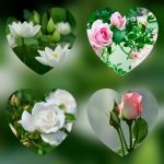 Giải thể công ty ở Quận 02 3 Xin giải thể công ty ở Quận 4