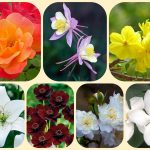 Dịch vụ làm giấy phép đăng ký kinh doanh tại Bắc Giang 6 Muốn làm giấy phép đăng ký kinh doanh tại Bắc Giang