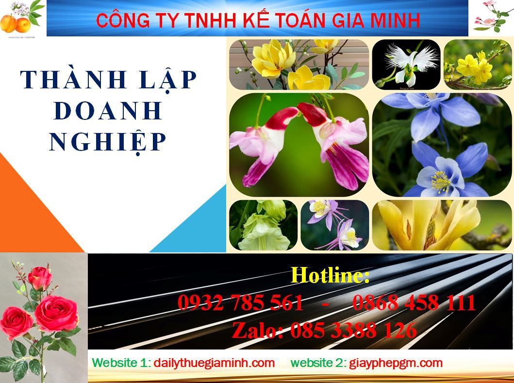 Dịch vụ làm giấy phép đăng ký kinh doanh tại Bắc Giang 4 Thủ tục làm giấy phép đăng ký kinh doanh tại Bắc Giang