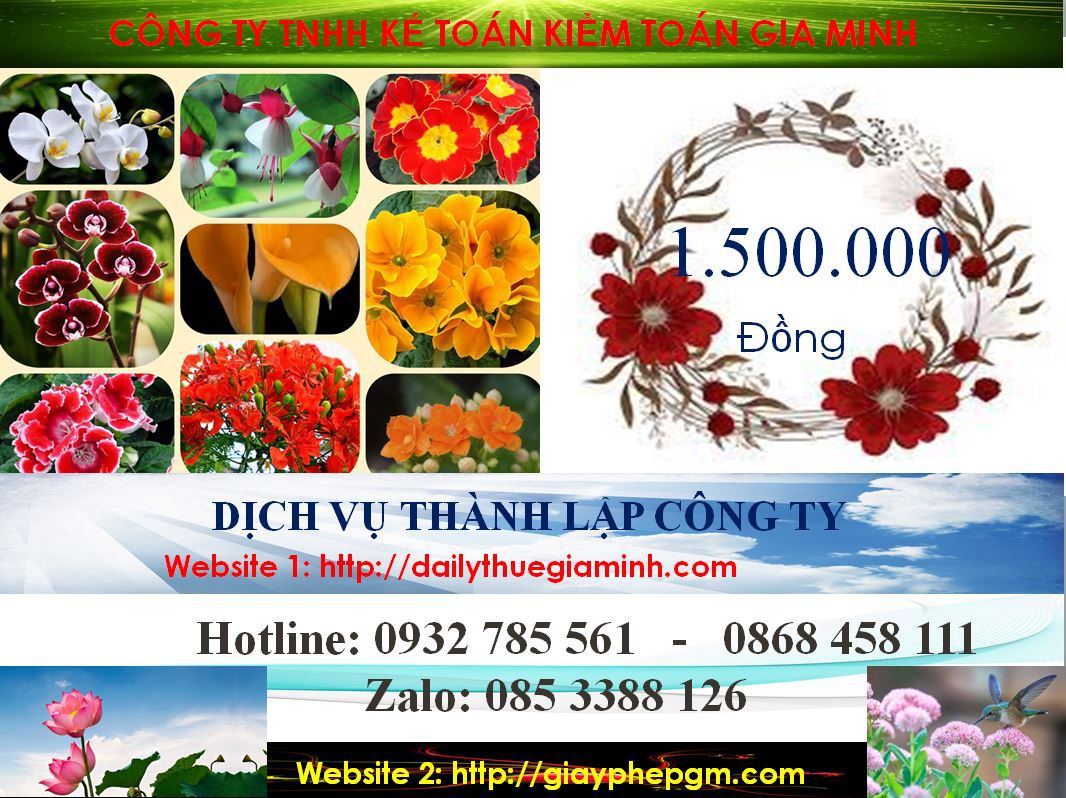 Dịch vụ làm giấy phép đăng ký kinh doanh tại Bến Tre 5 Chi phí làm giấy phép đăng ký kinh doanh tại Bến Tre