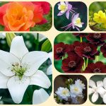 Dịch vụ làm giấy phép đăng ký kinh doanh tại Bến Tre 6 Muốn làm giấy phép đăng ký kinh doanh tại Bến Tre