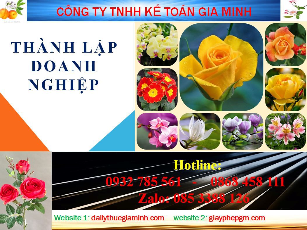 Dịch vụ làm giấy phép đăng ký kinh doanh tại Bến Tre 4 Thủ tục làm giấy phép đăng ký kinh doanh tại Bến Tre