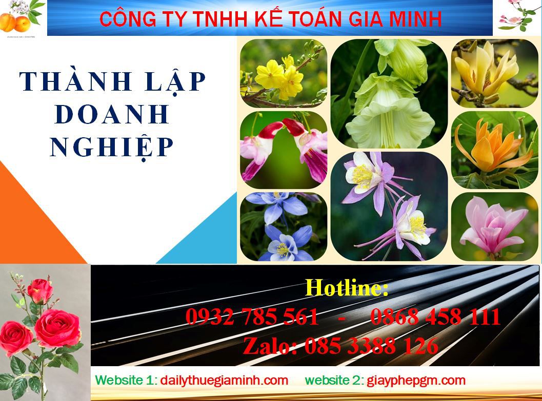 Dịch vụ làm giấy phép đăng ký kinh doanh tại Cần Thơ 4 Thủ tục làm giấy phép đăng ký kinh doanh tại Cần Thơ