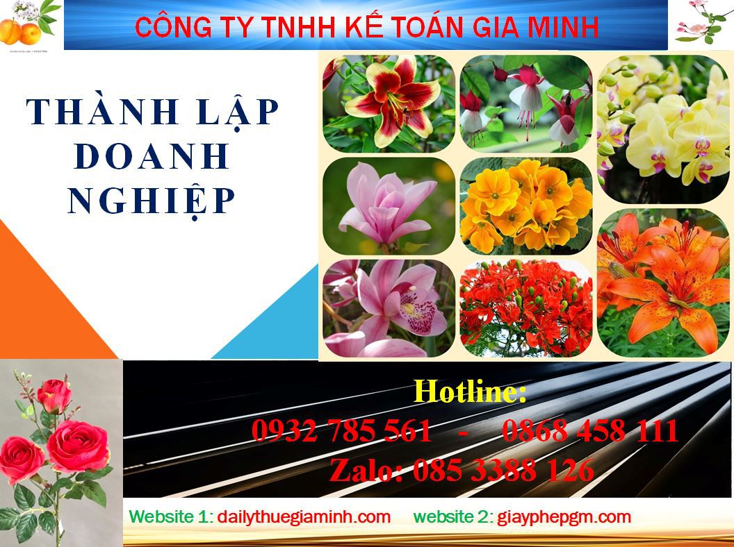 Dịch vụ làm giấy phép đăng ký kinh doanh tại Đà Nẵng 4 Thủ tục làm giấy phép đăng ký kinh doanh tại Đà Nẵng