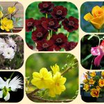 Dịch vụ làm giấy phép đăng ký kinh doanh tại Hải Phòng 6 Muốn làm giấy phép đăng ký kinh doanh tại Hải Phòng