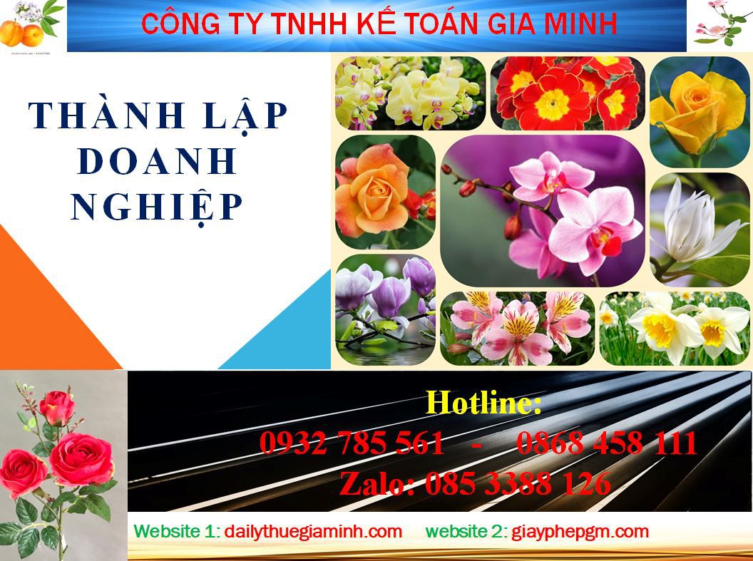 Dịch vụ làm giấy phép đăng ký kinh doanh tại Hải Phòng 4 Thủ tục làm giấy phép đăng ký kinh doanh tại Hải Phòng
