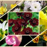 Dịch vụ làm giấy phép đăng ký kinh doanh tại Hòa Bình 6 Muốn làm giấy phép đăng ký kinh doanh tại Hòa Bình