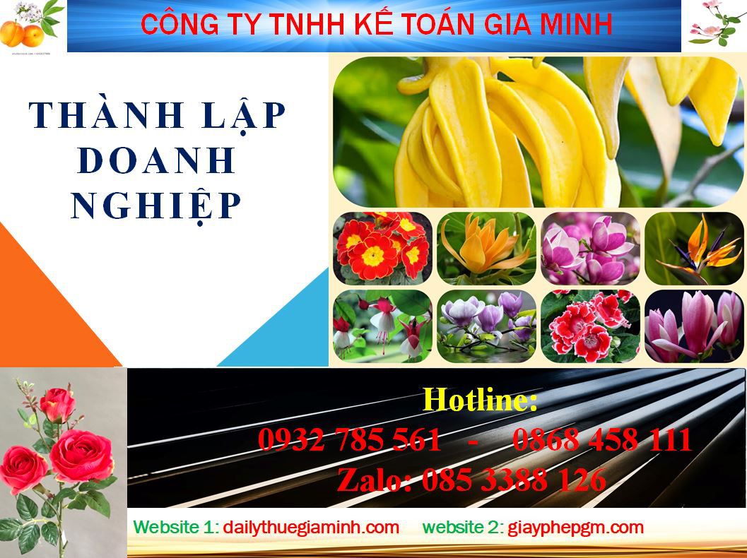 Dịch vụ làm giấy phép đăng ký kinh doanh tại Hòa Bình 4 Thủ tục làm giấy phép đăng ký kinh doanh tại Hòa Bình