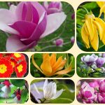 Dịch vụ làm giấy phép đăng ký kinh doanh tại Huyện Bình Chánh 6 Muốn làm giấy phép đăng ký kinh doanh tại Huyện Bình Chánh